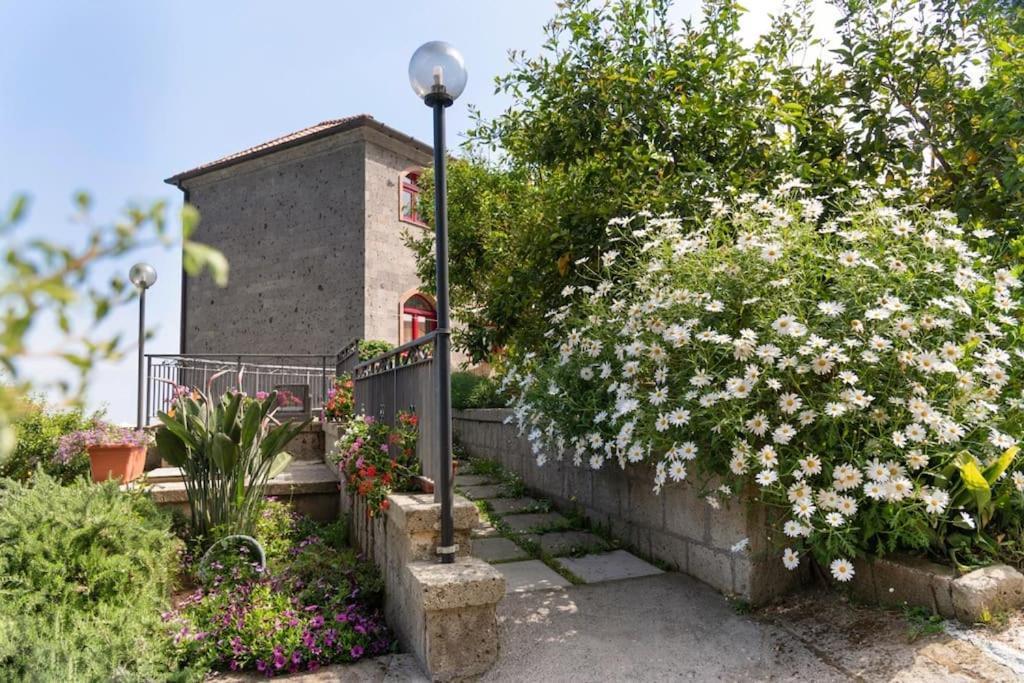 Sorrentovibes - Sea View Rooftop Apartment With Jacuzzi & Garden Exteriör bild