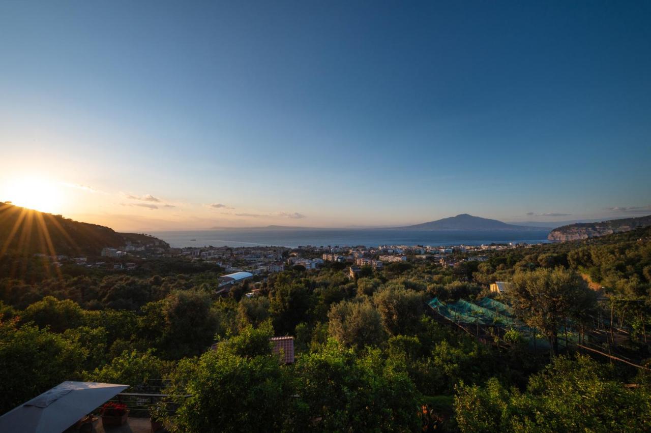 Sorrentovibes - Sea View Rooftop Apartment With Jacuzzi & Garden Exteriör bild