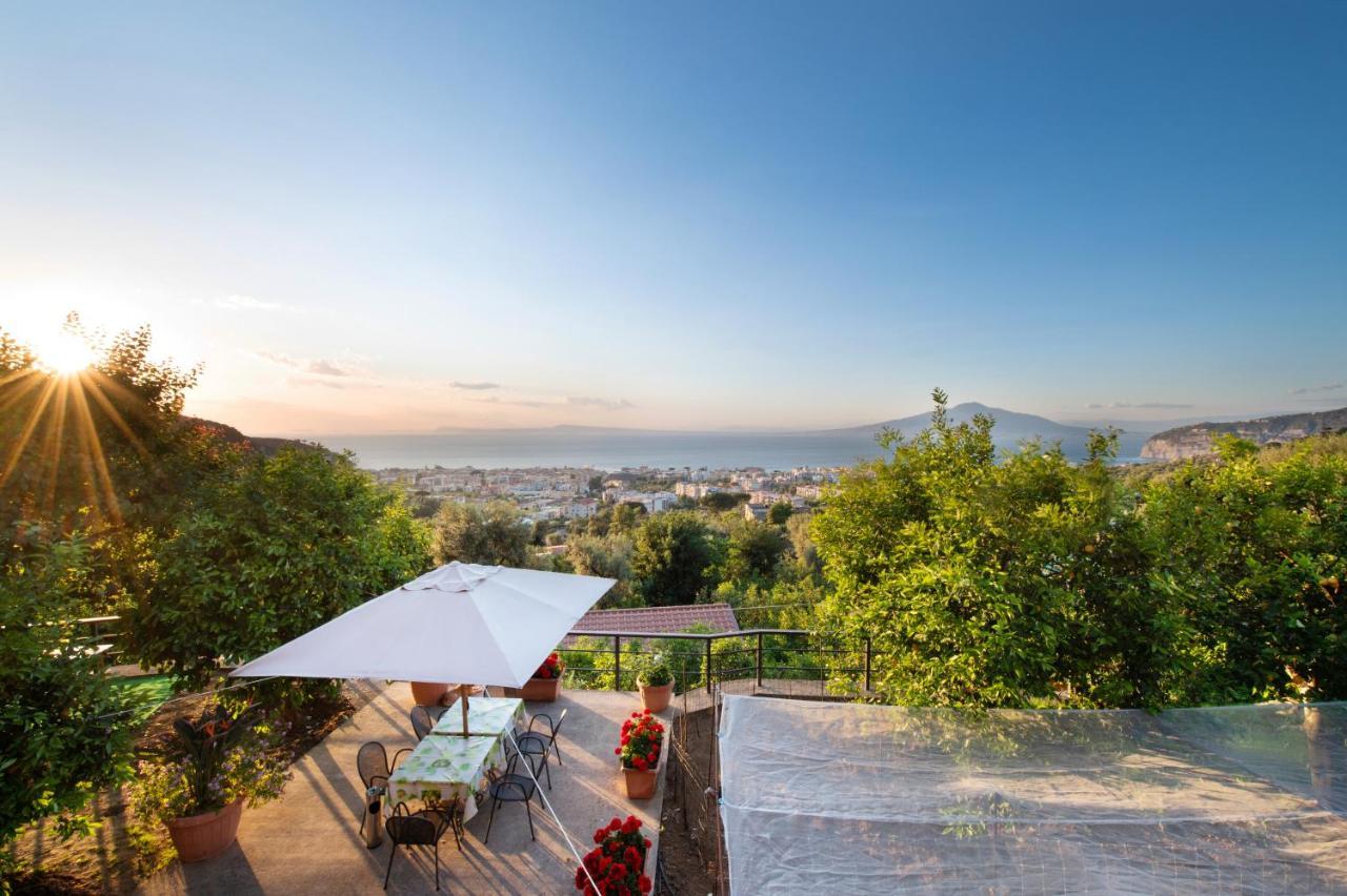 Sorrentovibes - Sea View Rooftop Apartment With Jacuzzi & Garden Exteriör bild